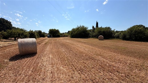 Caratteristico Trullo Con Terreno Di 3.000 mq. Circa.